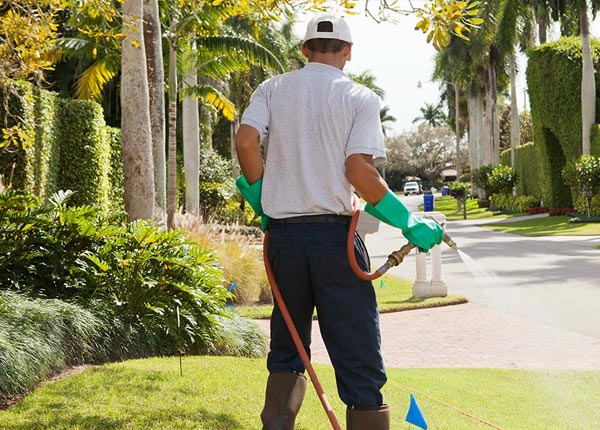 About Lanesborough MA Pest Control Pros